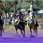 Roobet sports betting