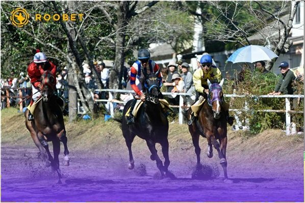 Roobet sports betting